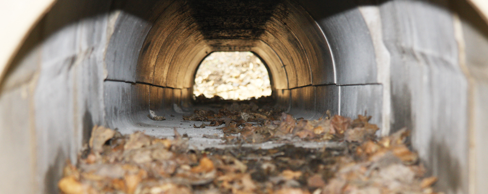 ACO_Wildlife_Climate_Tunnels_2