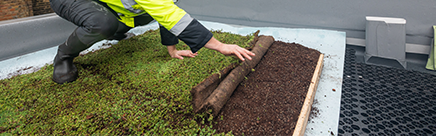 Blue / Green Roofs