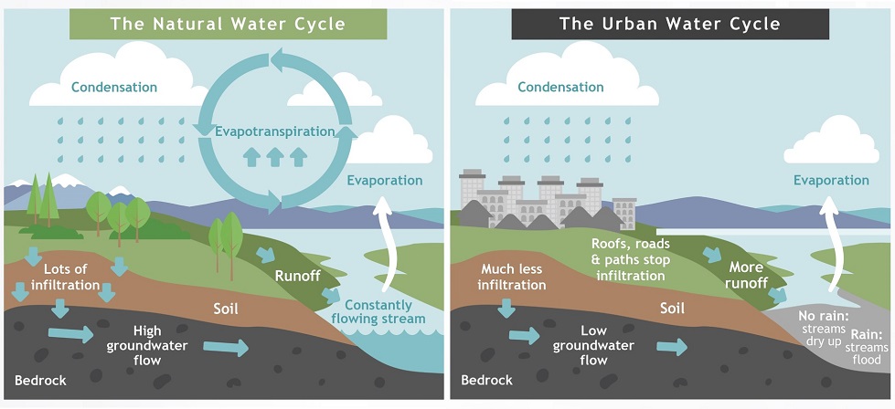 Water cycle