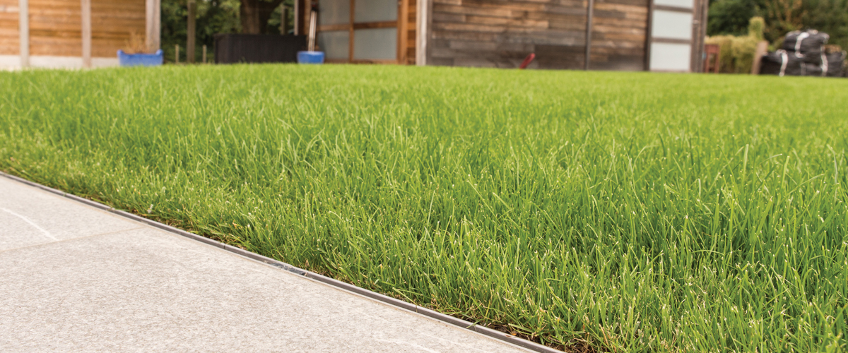 RainDrain Brickslot B 125 installed next to grass and paving