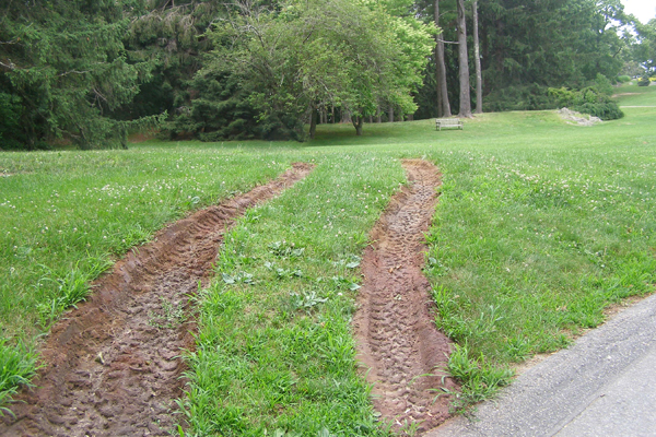 Tyre tracks marking and rutting grass