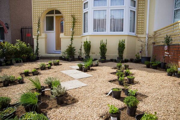 Front Garden designed with creative planting and permeability while still allowing a car parking space